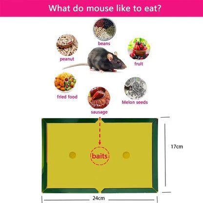 Mouse & Rat Lure Glue Trap (1 pc)