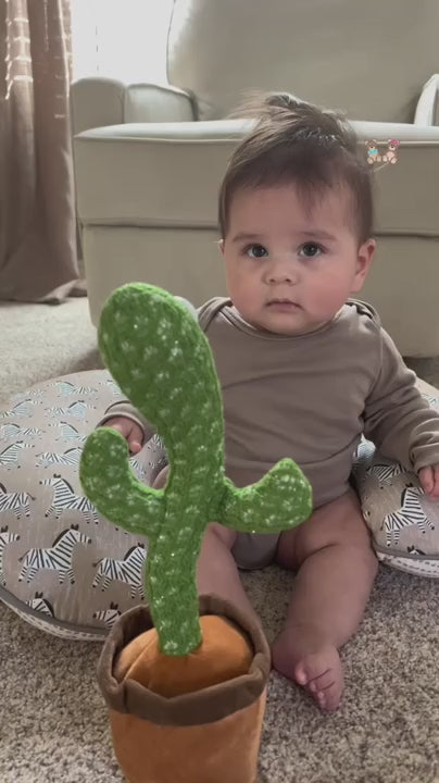 Dancing Cactus Toy